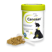 Canosan Hund mit Gonex von Boehringer Ingelheim