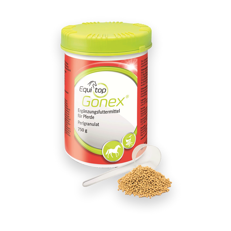 Equitop Gonex Pferd