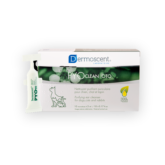 Selectavet Dermoscent PYOclean Oto für Hunde
