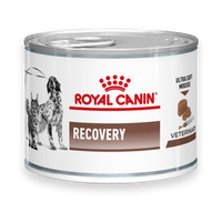 Royal Canin Recovery Hund und Katze