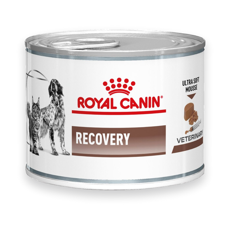 Royal Canin Recovery Hund und Katze