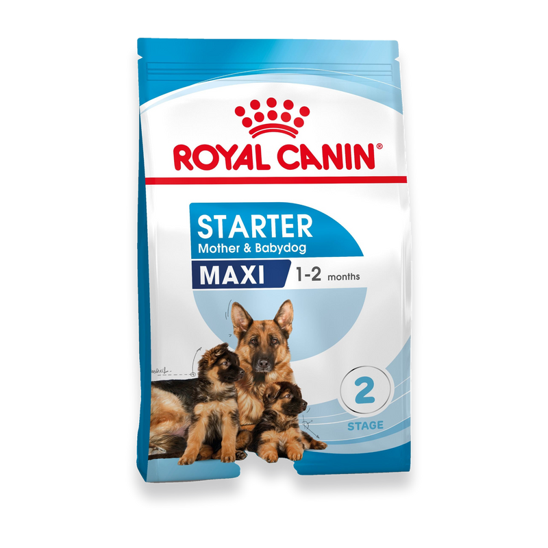 Royal Canin Maxi Starter Trockenfutter