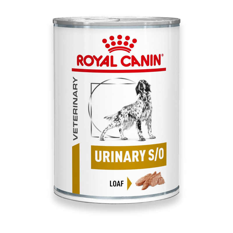 Royal Canin Urinary S/O Mousse Hund Dosen