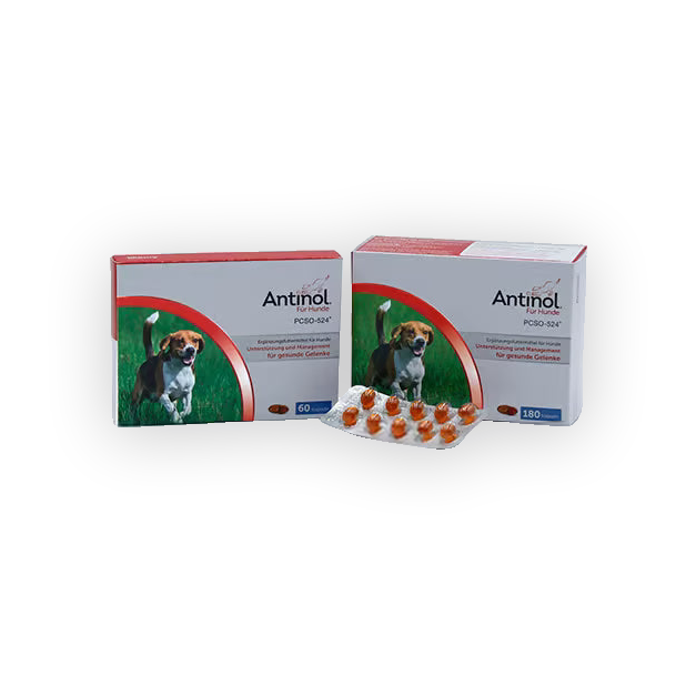 Selectavet Antinol Hund