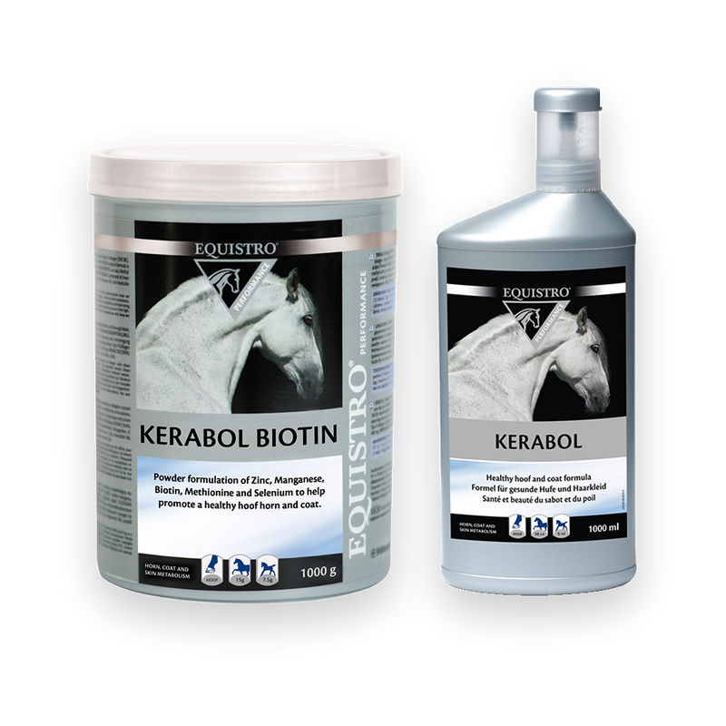 Equistro Kerabol Bioton Liquid + Powder fürs Pferd