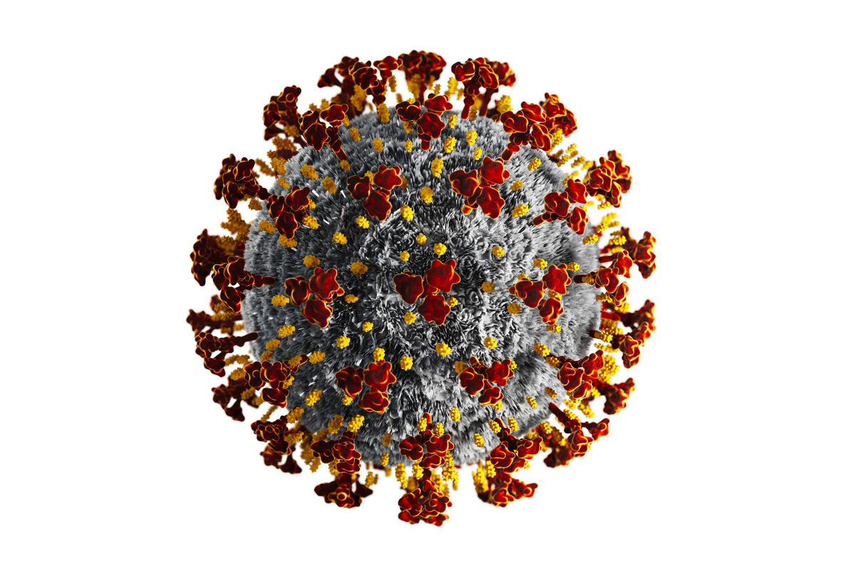 Coronavirus SARS-CoV-2