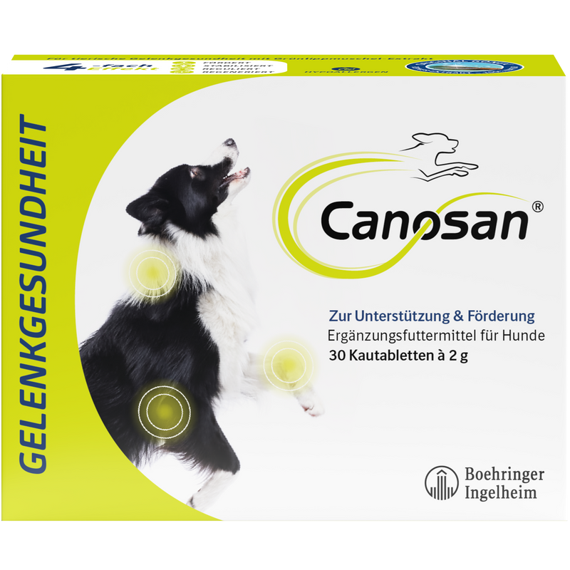 Canosan Hund mit Gonex von Boehringer Ingelheim