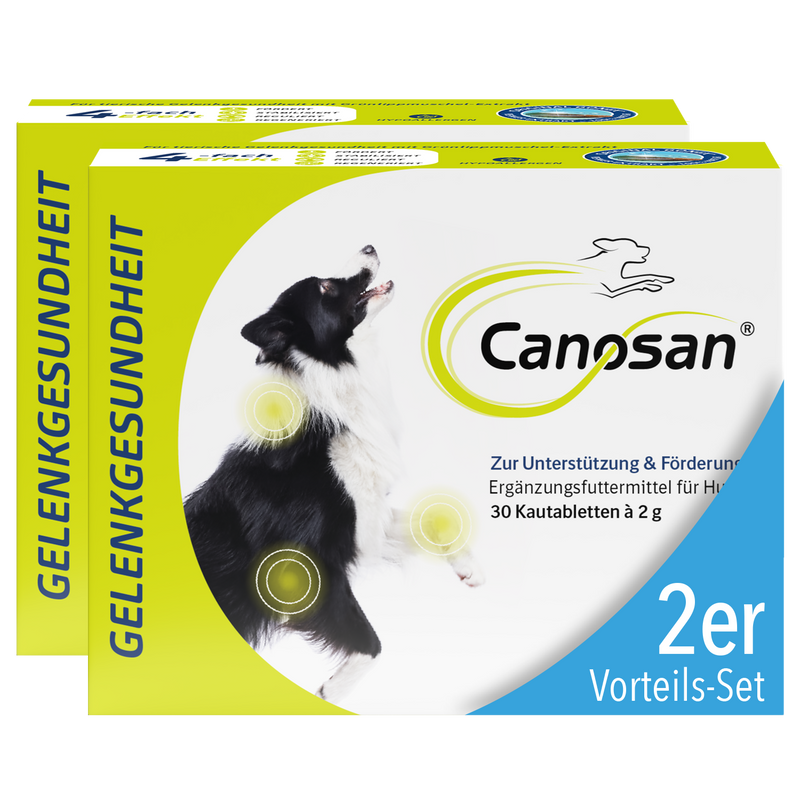 Canosan Hund mit Gonex von Boehringer Ingelheim