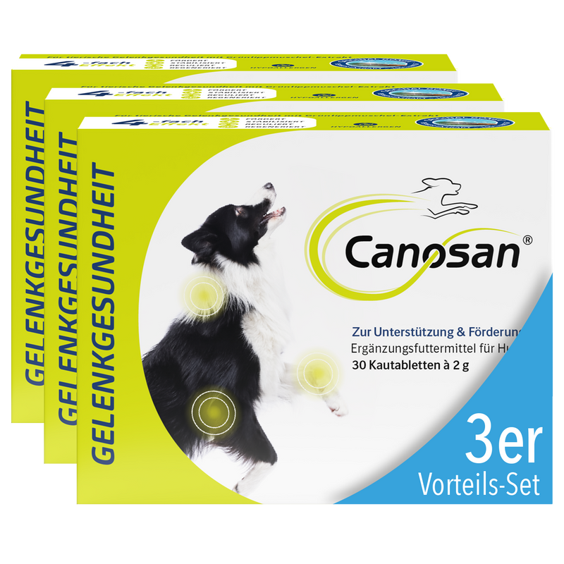 Canosan Hund mit Gonex von Boehringer Ingelheim