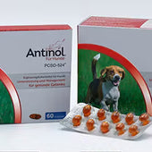 Selectavet Antinol Hund