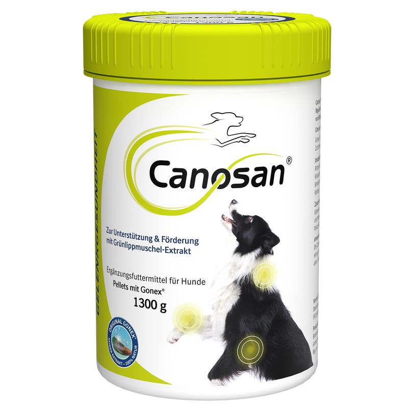 Canosan Hund mit Gonex von Boehringer Ingelheim
