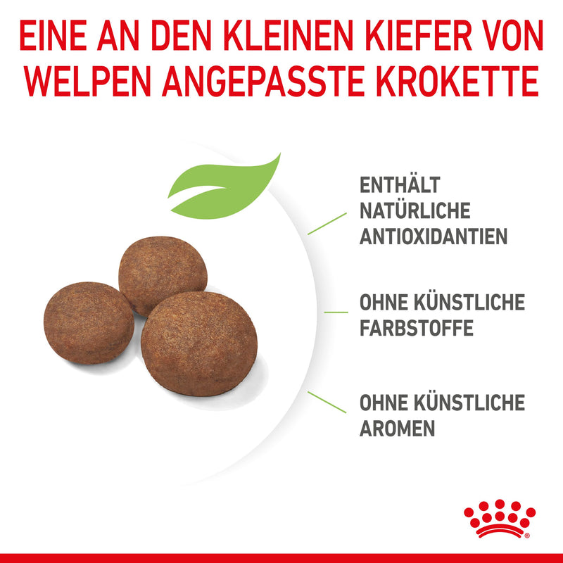 Royal Canin Medium Puppy für Welpen mittelgroßer Hunderassen