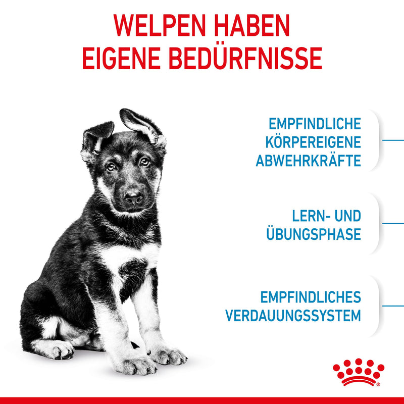 Royal Canin Maxi Puppy für Welpen großer Rassen