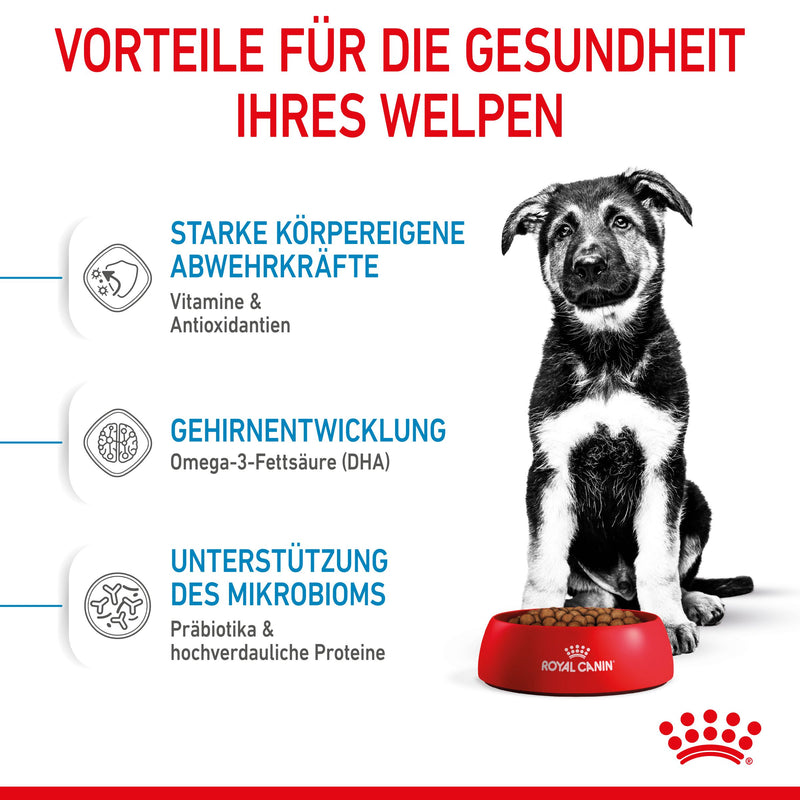 Royal Canin Maxi Puppy für Welpen großer Rassen