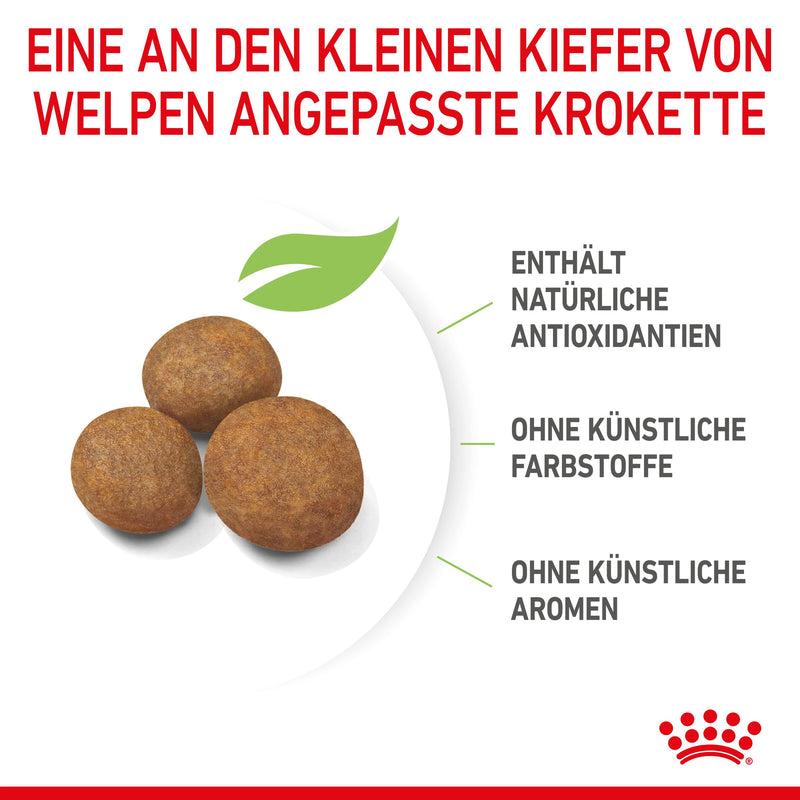 Royal Canin Maxi Puppy für Welpen großer Rassen