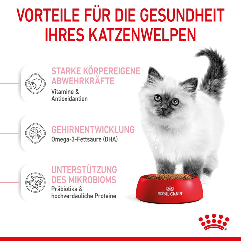 Royal Canin Kitten Trockenfutter