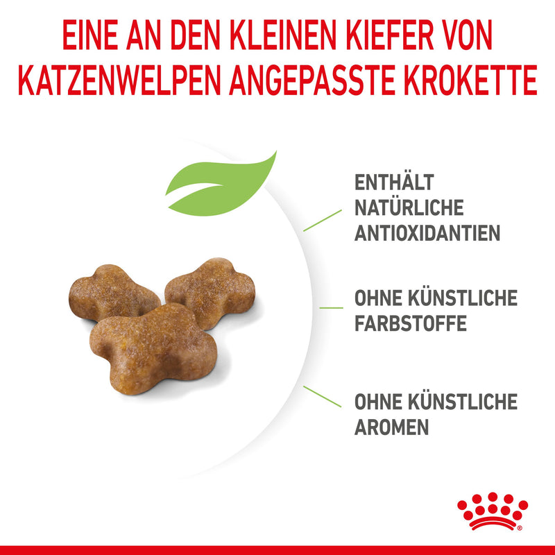Royal Canin Kitten Trockenfutter