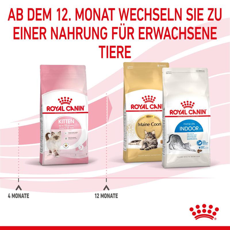 Royal Canin Kitten Trockenfutter