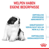 Royal Canin Gigant Puppy Trockenfutter für Welpen sehr großer Rassen