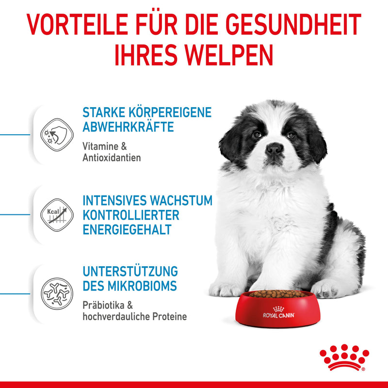 Royal Canin Gigant Puppy Trockenfutter für Welpen sehr großer Rassen