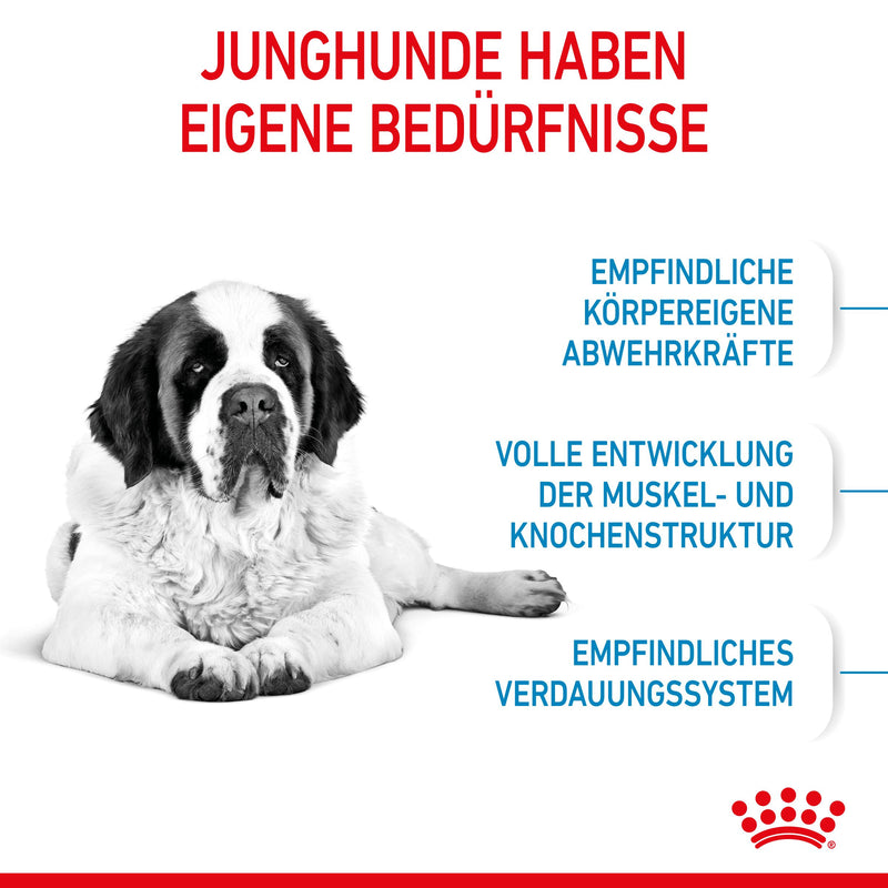 Royal Canin Giant Junior Welpenfutter für sehr große Hunde