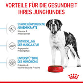 Royal Canin Giant Junior Welpenfutter für sehr große Hunde