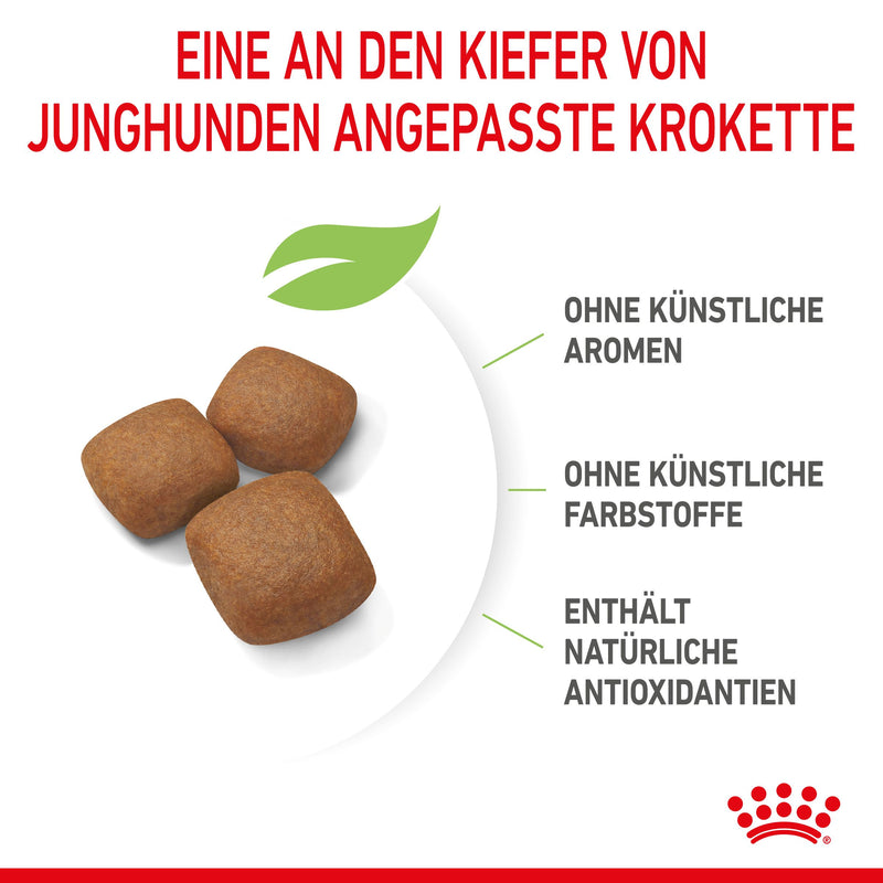 Royal Canin Giant Junior Welpenfutter für sehr große Hunde