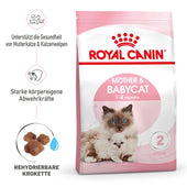 Royal Canin Mother & Babycat First Age