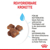 Royal Canin Mother & Babycat First Age