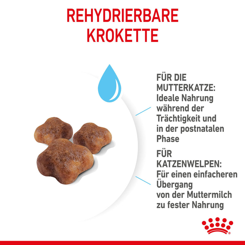 Royal Canin Mother & Babycat First Age