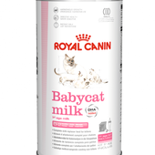 Royal Canin Babycat Milk für Katzen