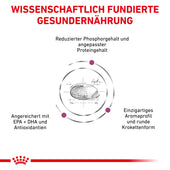 Royal Canin Renal Katzen Trockenfutter
