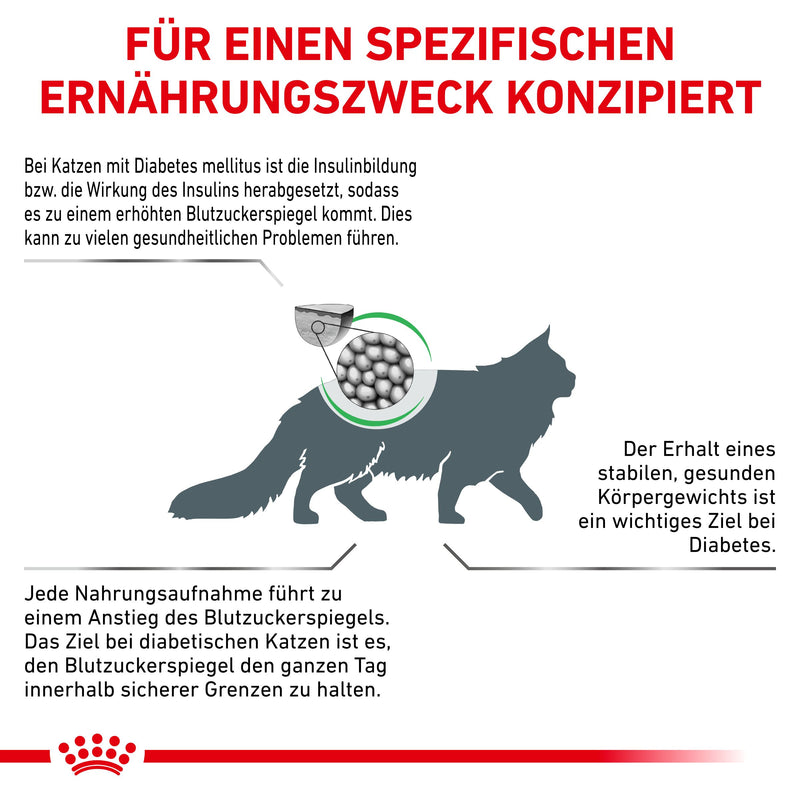 Royal Canin Diabetic Trockenfutter für Katzen