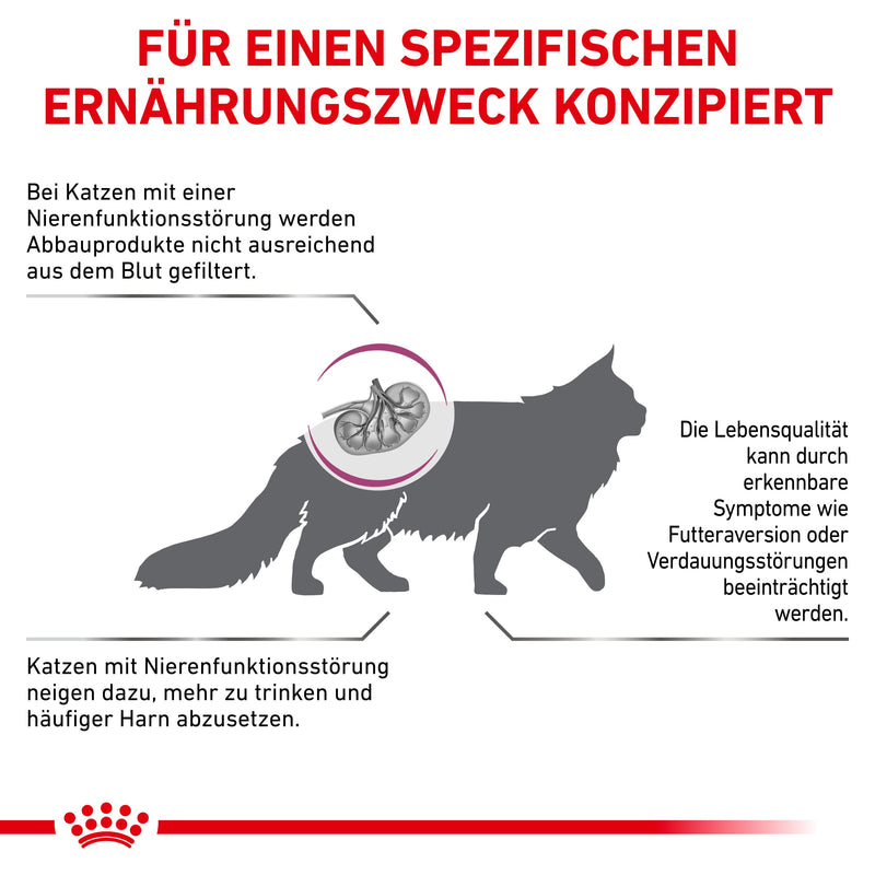 Royal Canin Renal Special Katze Trockenfutter