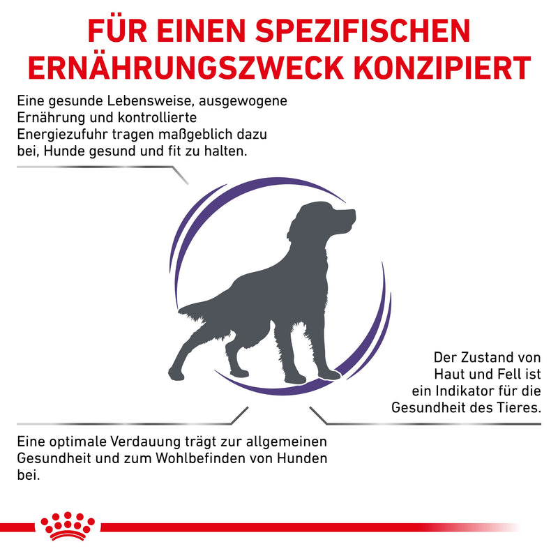 Royal Canin Adult Medium Dogs Trockenfutter für Hunde