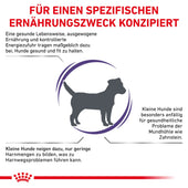 Royal Canin Adult Small Dogs Trockenfutter für Hunde