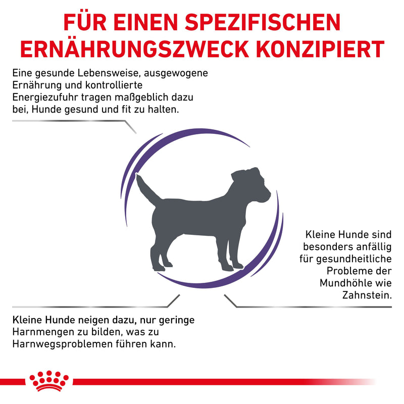 Royal Canin Adult Small Dogs Trockenfutter für Hunde