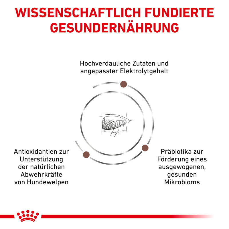 Royal Canin Gastrointestinal Puppy für junge Hunde
