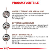 Royal Canin Gastrointestinal Puppy für junge Hunde