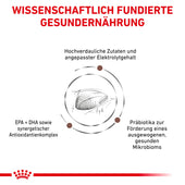 Royal Canin Gastrointestinal Katzenfutter