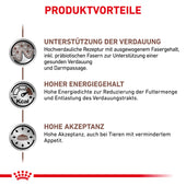 Royal Canin Gastrointestinal Katzenfutter