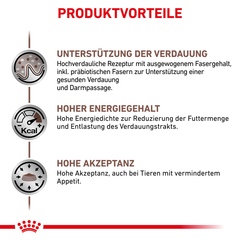 Royal Canin Gastrointestinal Katzenfutter