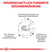 Royal Canin Gastrointestinal Moderate Calorie für Katzen