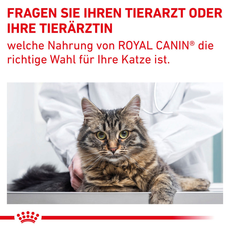 Royal Canin Gastrointestinal Fibre Response Katze