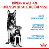 Royal Canin Maxi Starter Trockenfutter
