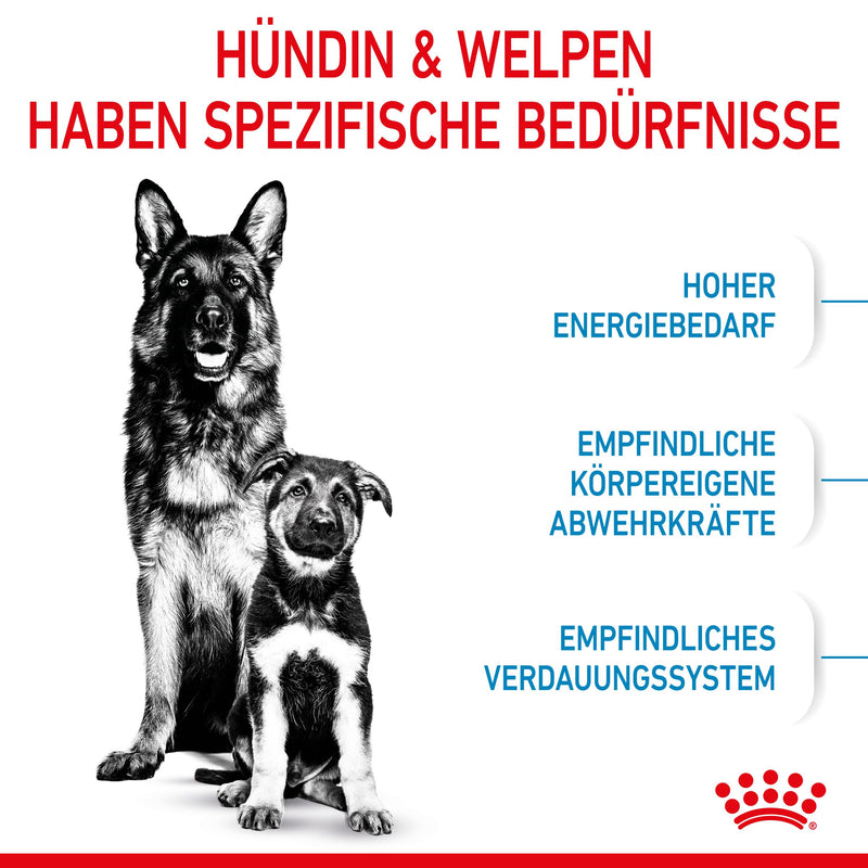 Royal Canin Maxi Starter Trockenfutter