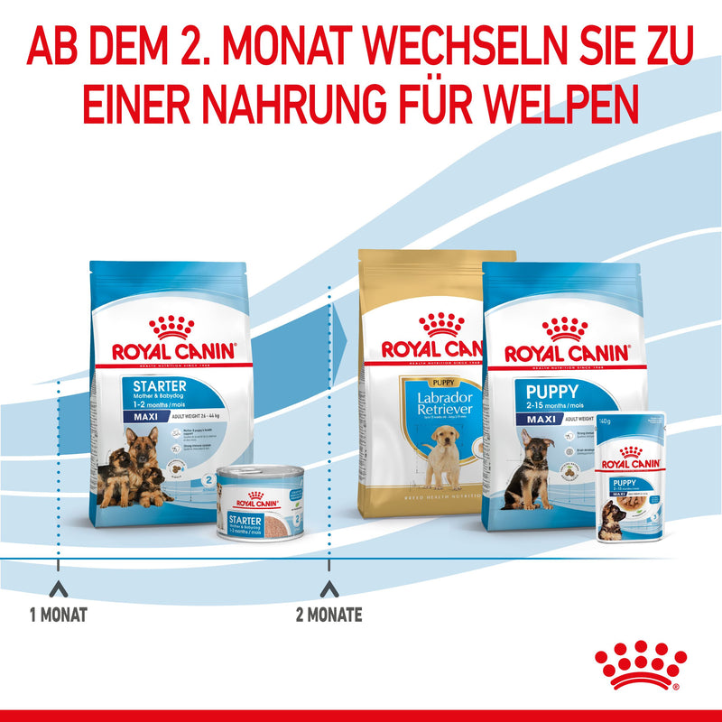 Royal Canin Maxi Starter Trockenfutter
