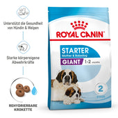 Royal Canin Giant Starter Trockenfutter