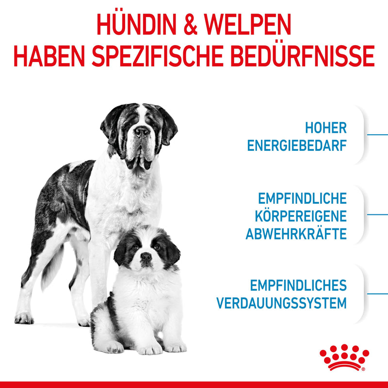 Royal Canin Giant Starter Trockenfutter