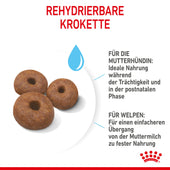 Royal Canin Giant Starter Trockenfutter
